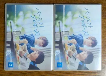 퍼펙트 프로포즈 DVD 렌탈 드라마 BL 2