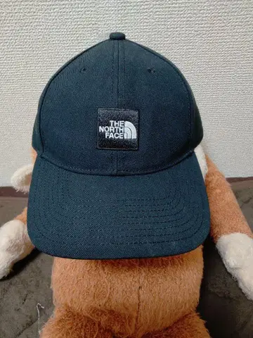 THE NORTH FACE 스퀘어 로고 캡 블랙