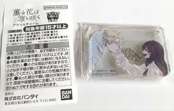 가샤폰 아크릴 참 컬렉션 가챠가챠