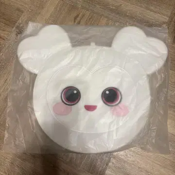 TWICE 다현 부채 케이스