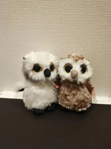 [ Ty ] 올빼미 봉제 인형 2체 세트 (단독 구매 가능)