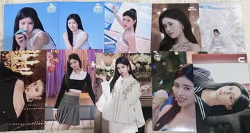 리마 란트레 묶음 판매