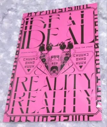 히프노시스 마이크 Ideal and Reality 히프스테 팜플렛