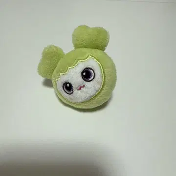 트와이스 정연 반지