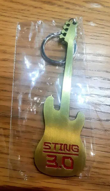 [ NEW ] STING 스팅 3.0 JAPAN TOUR 키체인