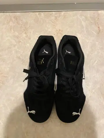Puma 스피드캣