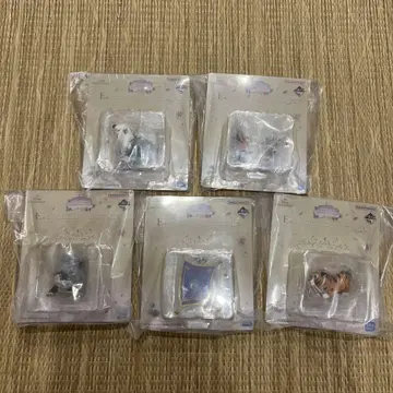 디즈니 프린세스 제일복권 Dream in color