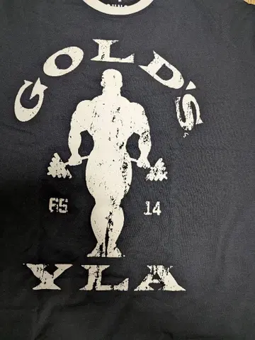 YOUNGLA x GOLD'S GYMT 셔츠 L 블랙