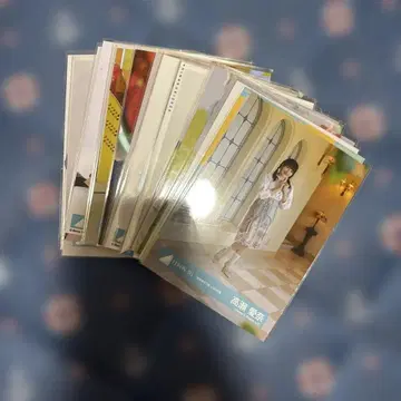 타카세 아이나 랜덤 브로마이드 장미