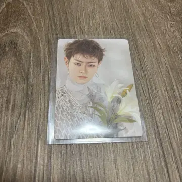 류구조 무도관 CD 추첨 00 트레이딩 카드 사토 카이토 S