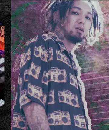 Slightly Numb RIZE NUMB ALOHA SHIRT 올 패턴