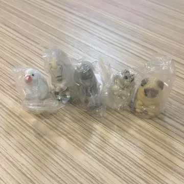 기다림 8 가샤폰 전종 햄스터, 작 은새, 퍼그, 돌고래, 말