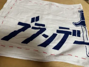 브랜디 전지 타월
