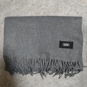 Audi 그레이 프린지 부착 스톨