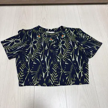 ZARA 비쥬 반팔 니트