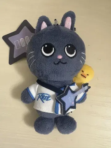 고양이 봉제 인형 별 모양 액세서리 포함