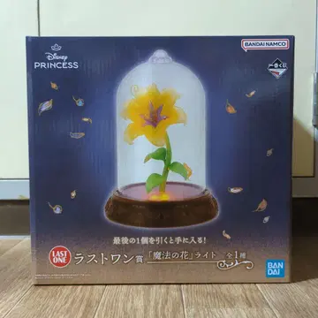 디즈니 프린세스 마법의 꽃 라이트