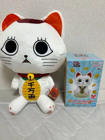 [ 연말 세일 ] 단단단 터보바바 세트