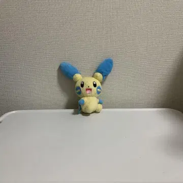 포켓몬 봉제 인형