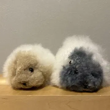 [가격 인하!] Cosy 햄스터 2체 세트 미사용 새상품