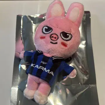 SKZOO 돼끼 KARMA 스키즈 빈 DWAEKKI