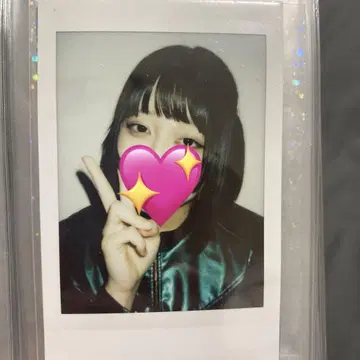 ASP 폴라로이드 리온타운