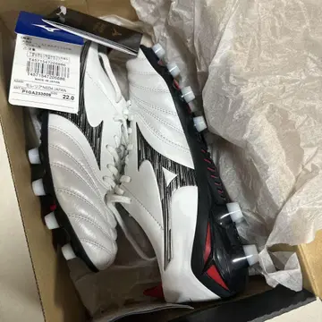 모렐리아 NEO 4 JAPAN 22cm