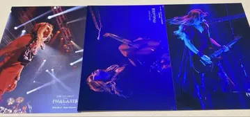 DIR EN GREY 모카 [ Die ] 2022-2023년 8장 세트