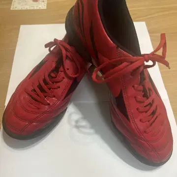 미즈노 모나르시다 25.0cm