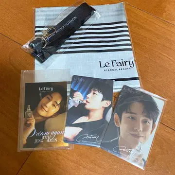 정혜인 Le Fairy Dream again 세트