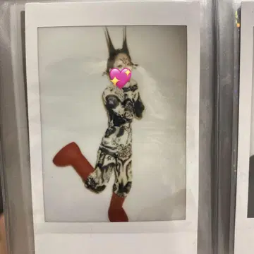 ASP 폴라로이드 나전나이