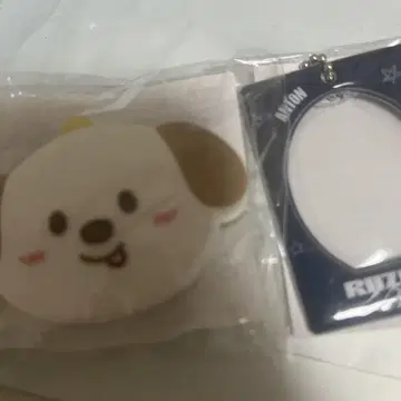 RIIZE 앤톤 랜덤 토이