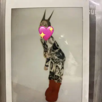 ASP 폴라로이드 나마에나이
