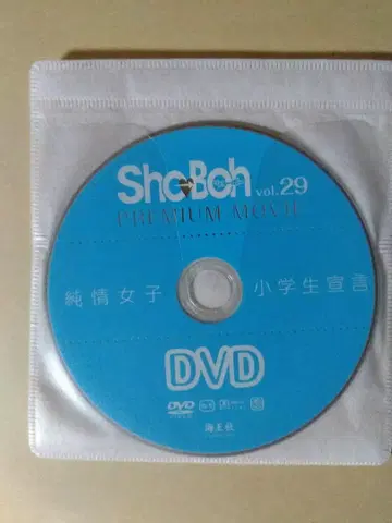 ShoBoh 쇼보 vol.29 부록 DVD