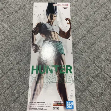 HUNTER x HUNTER 곤 프리 피규어