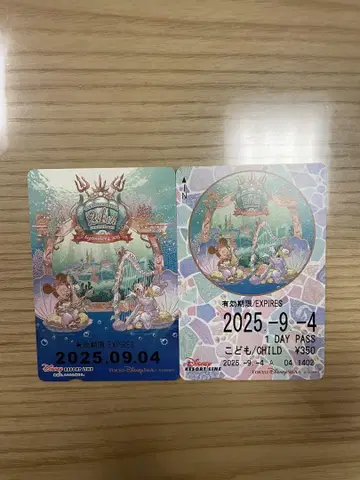 디즈니 리조트 라인 프리 티켓