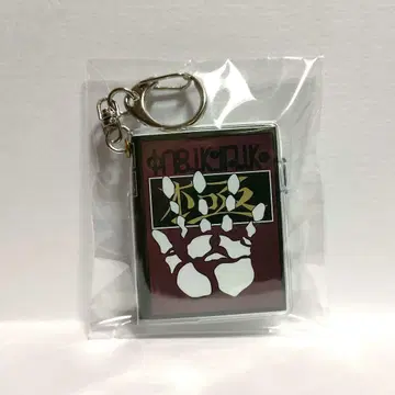 익명 배송 HUNTERXHUNTER 클로로 콜렉터블 키체인