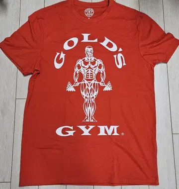 GOLD'S GYM 레드 T셔츠 M 수량 한정 US 컬렉션