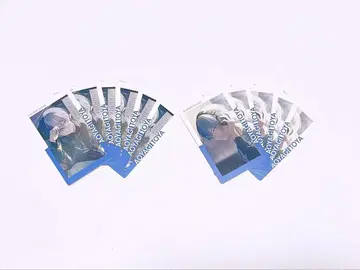 프로세카 에피카 21B 겨울 토야 11장