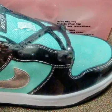 NIKE SB dunk low