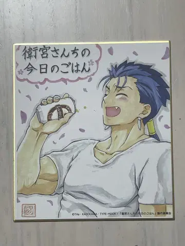 FGO Fate 에미야가네 오늘의 밥 색지 쿠훌린 랜서