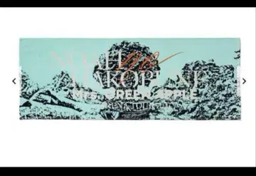 Mrs. GREEN APPLE 노아의 방주 타월 미개봉 새상품