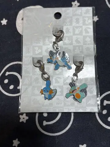 포켓몬 메탈 참