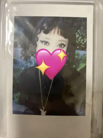 ASP 폴라로이드 치치치치치치치