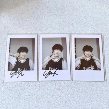 NCT nctwish 트레이딩 카드 사쿠야 KMS steady 폴라 세트