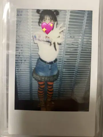 ASP 폴라로이드 치치치치 치치치치