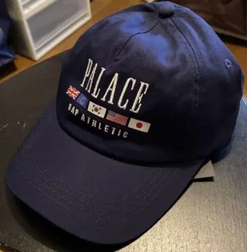 PALACE GAP 캡