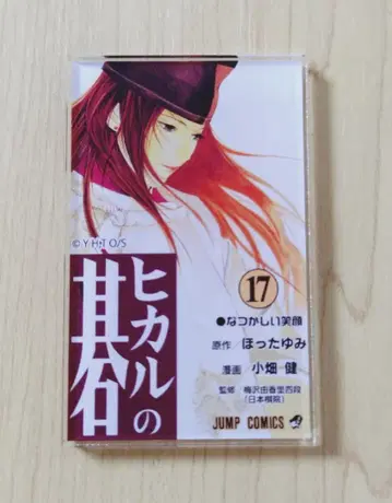 히카루의 바둑 원화전 단행본 마그넷 컬렉션 사이 17권