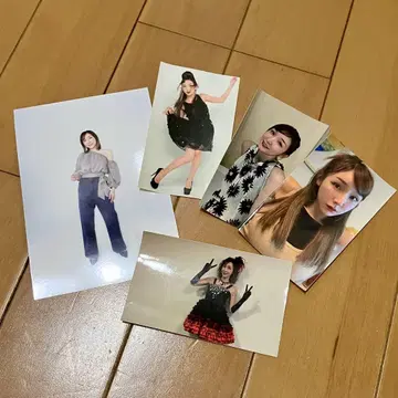 카고 아이와 브라운, 시바칸? 브로마이드 & 스티커