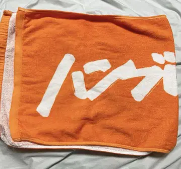 함브레더즈 타월